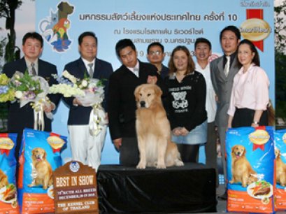 CHI.CH.TH.GRAND CH.ARMANI DE AZPEITIA