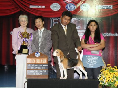 TH.AM.CH.PERFECT COMPANION'S HAPPY HOURS