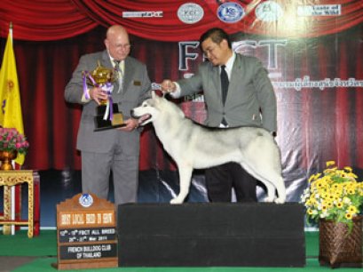 TH.CH.DREAM CHASER'S QUADRIVIUM QUEST 4 SPARTA