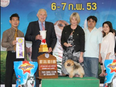 TH.CH.GOLDEN STAR'S PHAMTOM SPIRIT