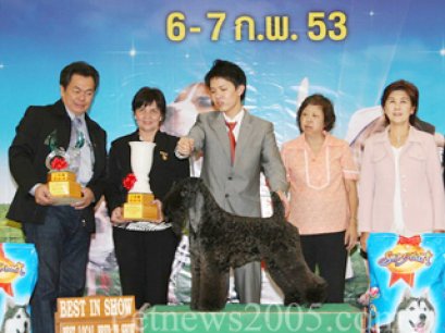 AM.CH.HOTSPICE'SCHECK IT OUT