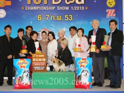 TH.CH.GOLDEN STAR'S PHAMTOM SPIRIT