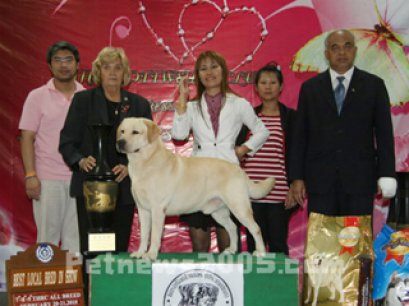 TH.CH.SANTA BELQUEST NICE NETWORK