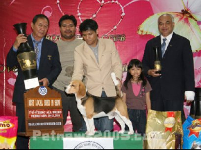 TH.CH.CAESAR'S SUPER DANCE