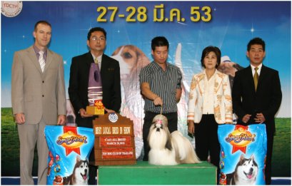 TH.CH.CREATIVES REAL STAR I AM