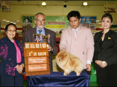 TH.CH.BAAN THOMMAWECH'S YOSHEKI