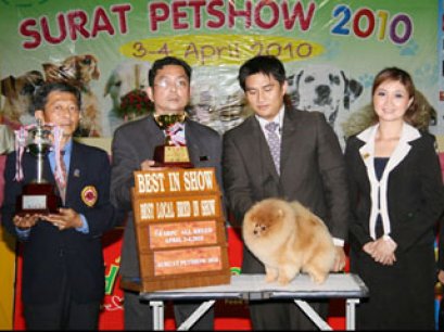 TH.CH.BAAN THOMMAWECH'S YOSHEKI