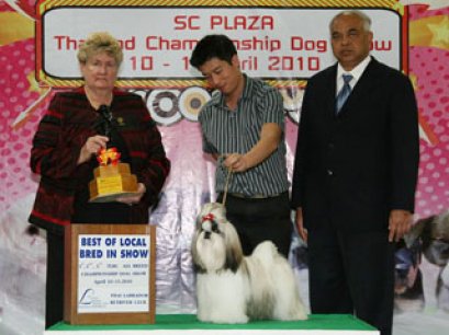 CREATIVES SO HOT WONDERGIRL