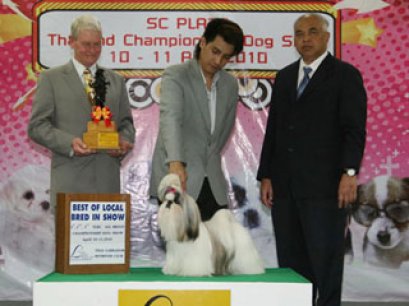 TH.CH.HEARTYS FORGET ME NOT