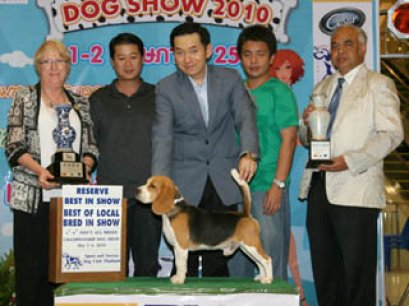 TH.CH.BOUGAINE XPLORERS CHEWY SHEW BEKKA