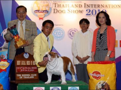 TH.CH.FELLOW FAMILY IRON MAN