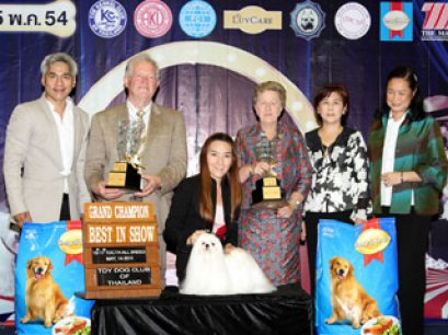 The Mall Toy Dog Championship Show 2/2011(AB2)