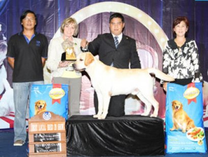 TH.CH.NAGAS'S JACKPOT