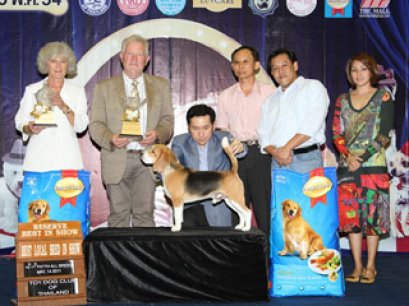 TH.CH.BOUGAIN'E SIMPLY ME GIGI