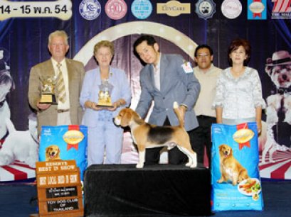 TH.CH.BOUGAIN'E SIMPLY ME GIGI