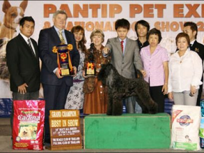 TH.AM.Grand CH.HOTSPICE'S CHECK IT OUT