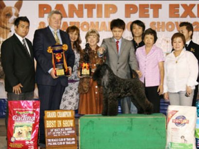 TH.AM.Grand CH.HOTSPICES CHECK IT OUT