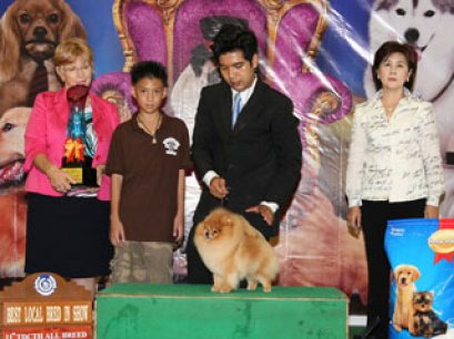 TH.CH.BAAN THOMMAWECH'S YOSHEKI