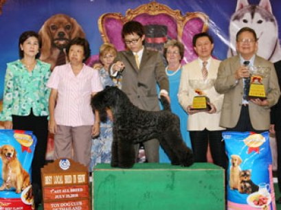 TH.AM.Grand CH.HOTSPICE'S CHECK IT OUT