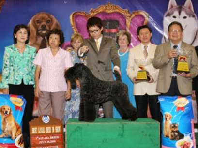 TH.AM.Grand CH.HOTSPICE'S CHECK IT OUT