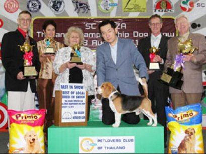 TH.CH.BOUGAINE XPLORERS CHEWY SHEW BEKKA