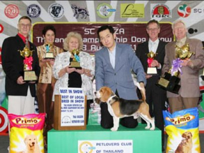 TH.CH.BOUGAINE XPLORERS CHEWY SHEW BEKKA