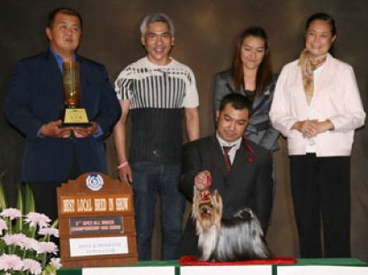 TH.CH.MILLENNIUM'S HONOR @ NANETTE'S