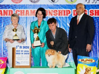 TH.CH.GOLDEN STAR'S IT'S SHOW TIME