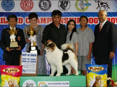 TH.CH.BANCHOKHUN'S GIANT