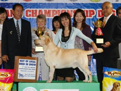 TH.CH.SANTA BELQUEST NICE NETWORK OFA27G