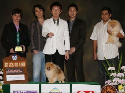 TH.GRAND CH.PHOENIXS GENOME