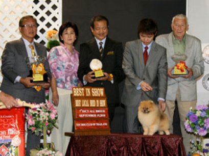 TH.GRAND.CH.PHOENIX'S GENOME (F1M1A)