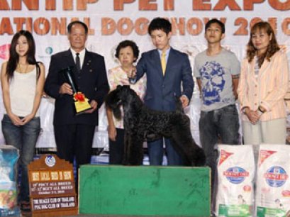 TH.AM.GRAND.CH.HOTSPICE'S CHECK IT OUT