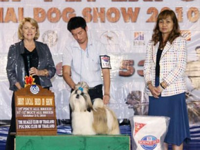 CREATIVE'S DON'T CHA WANNA BLAZE