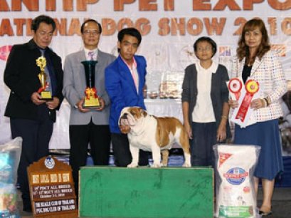 TH.CH.FELLOW FAMILY 'IRON MAN'