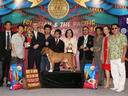 AM.TH.GRAND CH. DOGGY WORLD'S APPLE JACK JUNIOR