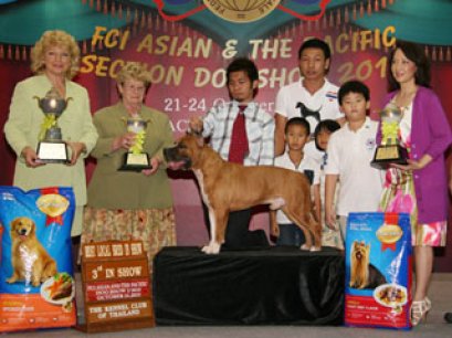 AM.TH.GRAND CH. DOGGY WORLD'S APPLE JACK JUNIOR