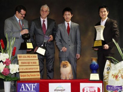 TH.GRAND.CH.PHOENIX'S GENOME (F1M1A)