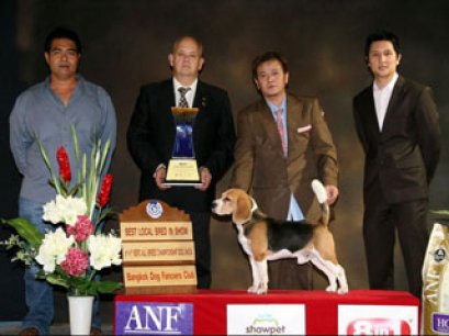 TH.CH.CAESAR'S SUPER DANCE