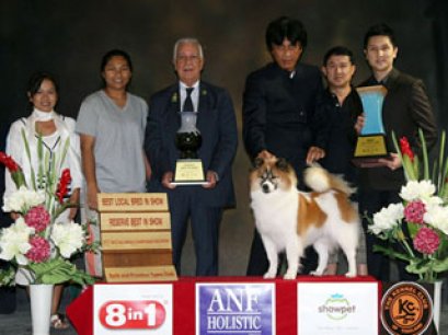 TH.CH.BANCHOKHUNS MAIKAEW