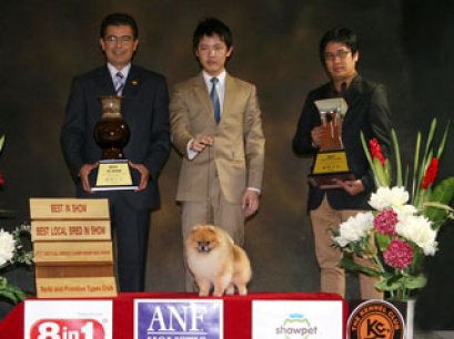 TH.GRAND.CH.PHOENIX'S GENOME (F1M1A)