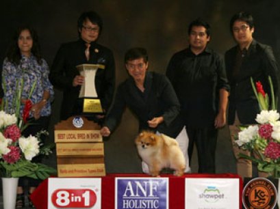 TH.CH.GOLDEN STAR'S IT'S SHOW TIME