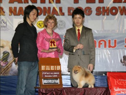 TH.GRAND.CH.PHOENIX'S GENOME (F1M1A)