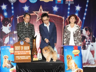 THE MALL FCI INTERNATIONAL CHAMPIONSHIP DOG SHOW 1/2011 (AB1)