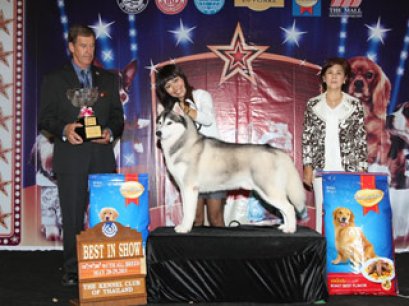 THE MALL FCI INTERNATIONAL CHAMPIONSHIP DOG SHOW 1/2011 (AB2)