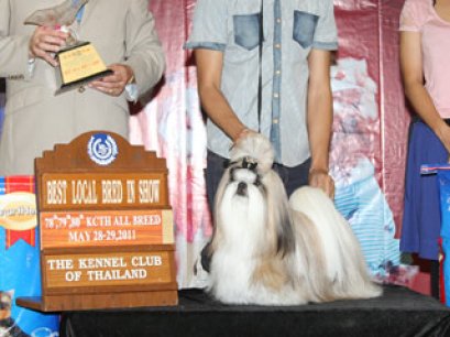 TH.CH.OMEGA1 NICKI GO THE DISTANCE