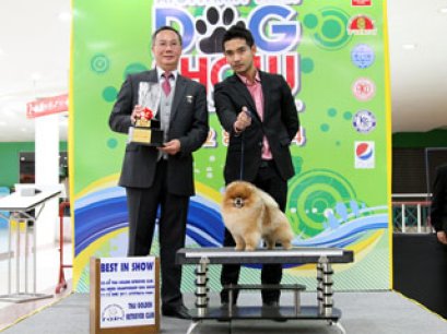 Ayutthaya Park Dog show 2011(AB4)