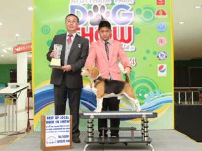 TH.GR.CH.CAESAR'S SUPER DANCE