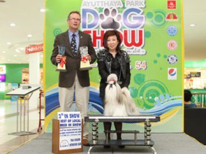 HEARTYS GOSSIP GIRL