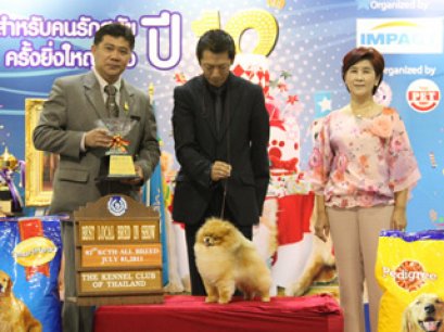 WR.SK.TH.AM.CH.STARLIGHT'S MY SWEET DREAM